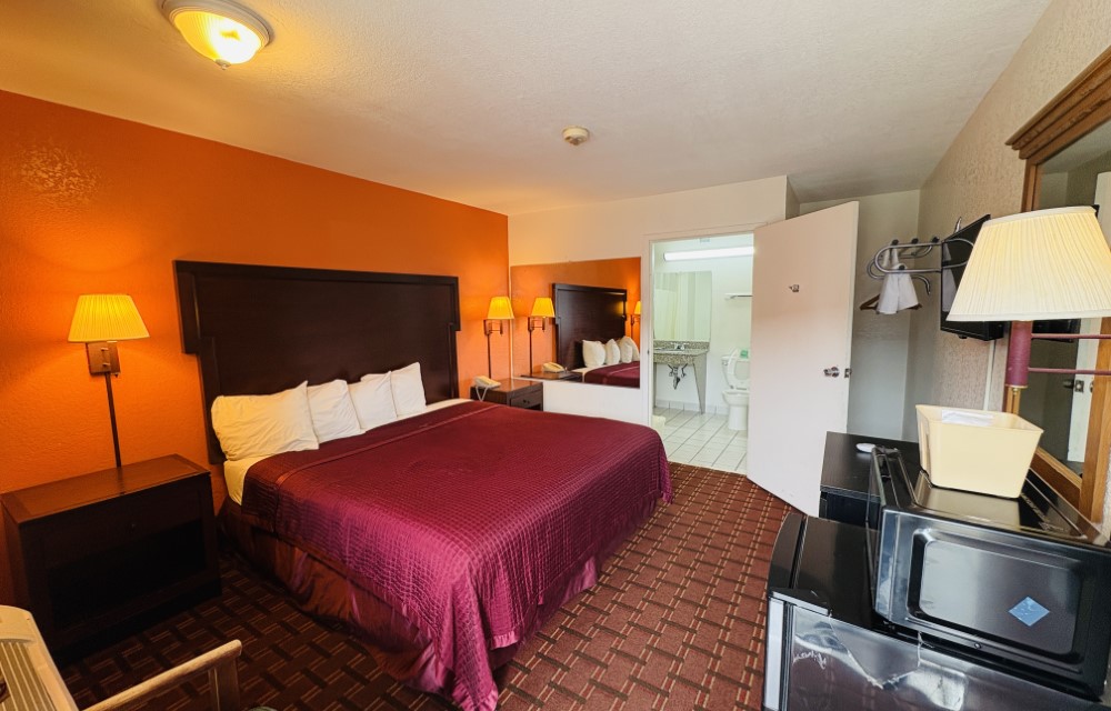 Single King Non-Smoking ADA Room